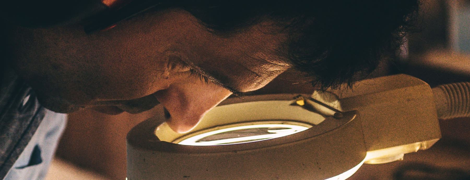 Inspecting roasted beans under a magnifier